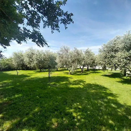 Hacienda Matea Mit Whirlpool, Pool Und Grill Holiday home